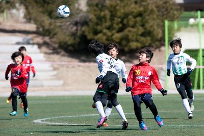 금석배 전국학생축구 대회