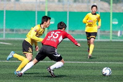 금석배 전국학생축구 대회