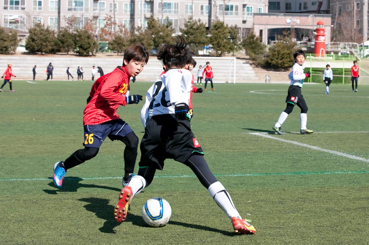 금석배 전국학생축구 대회