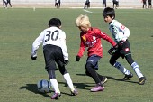 금석배 전국학생축구 대회사진(00022)
