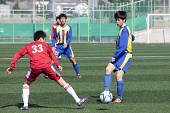 금석배 전국학생축구 대회사진(00029)