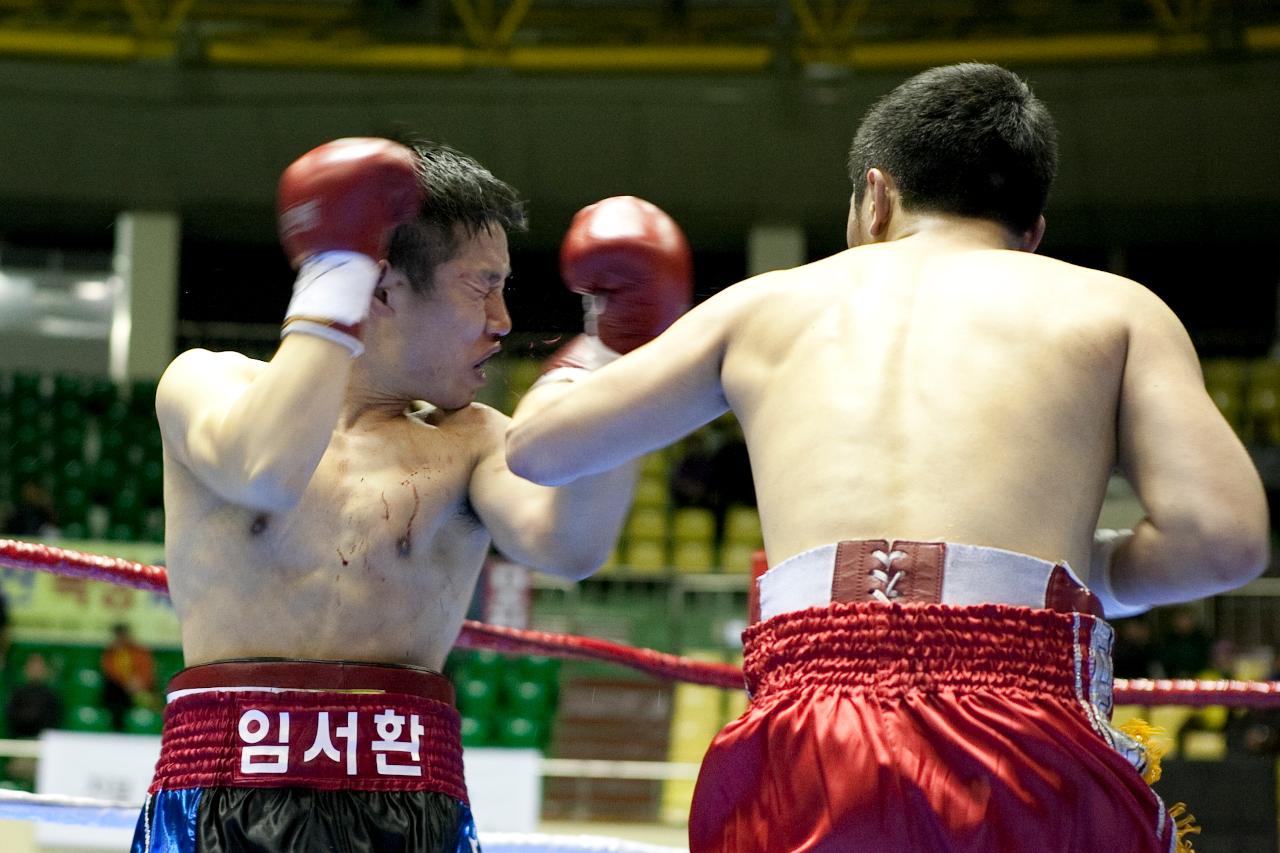 국제여자복싱 세계타이틀매치