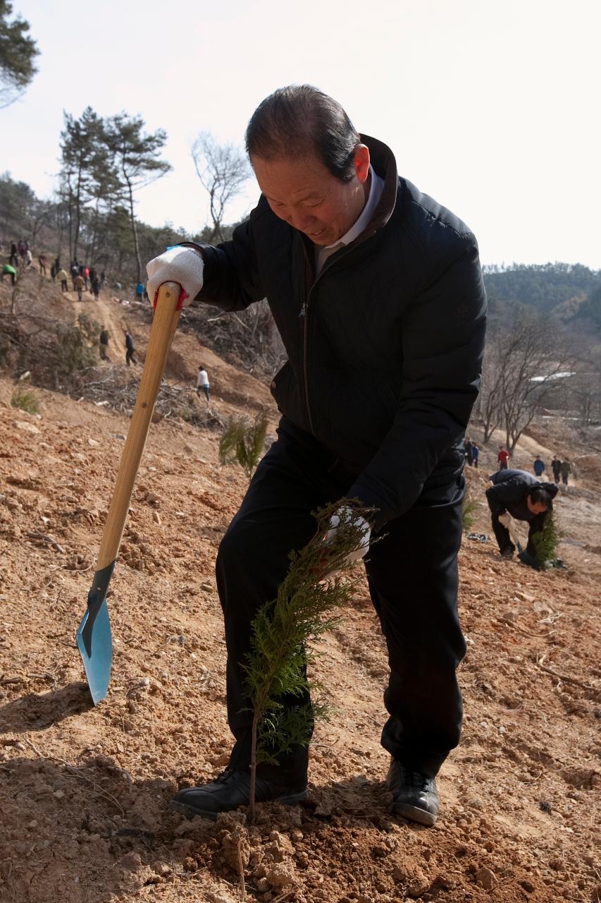 식목일 식수행사