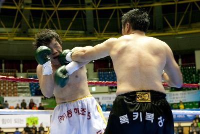 국제여자복싱 세계타이틀매치