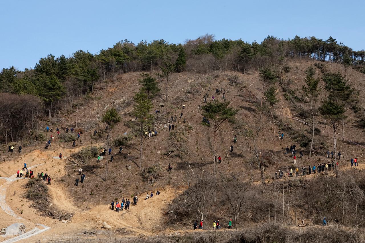 식목일 식수행사