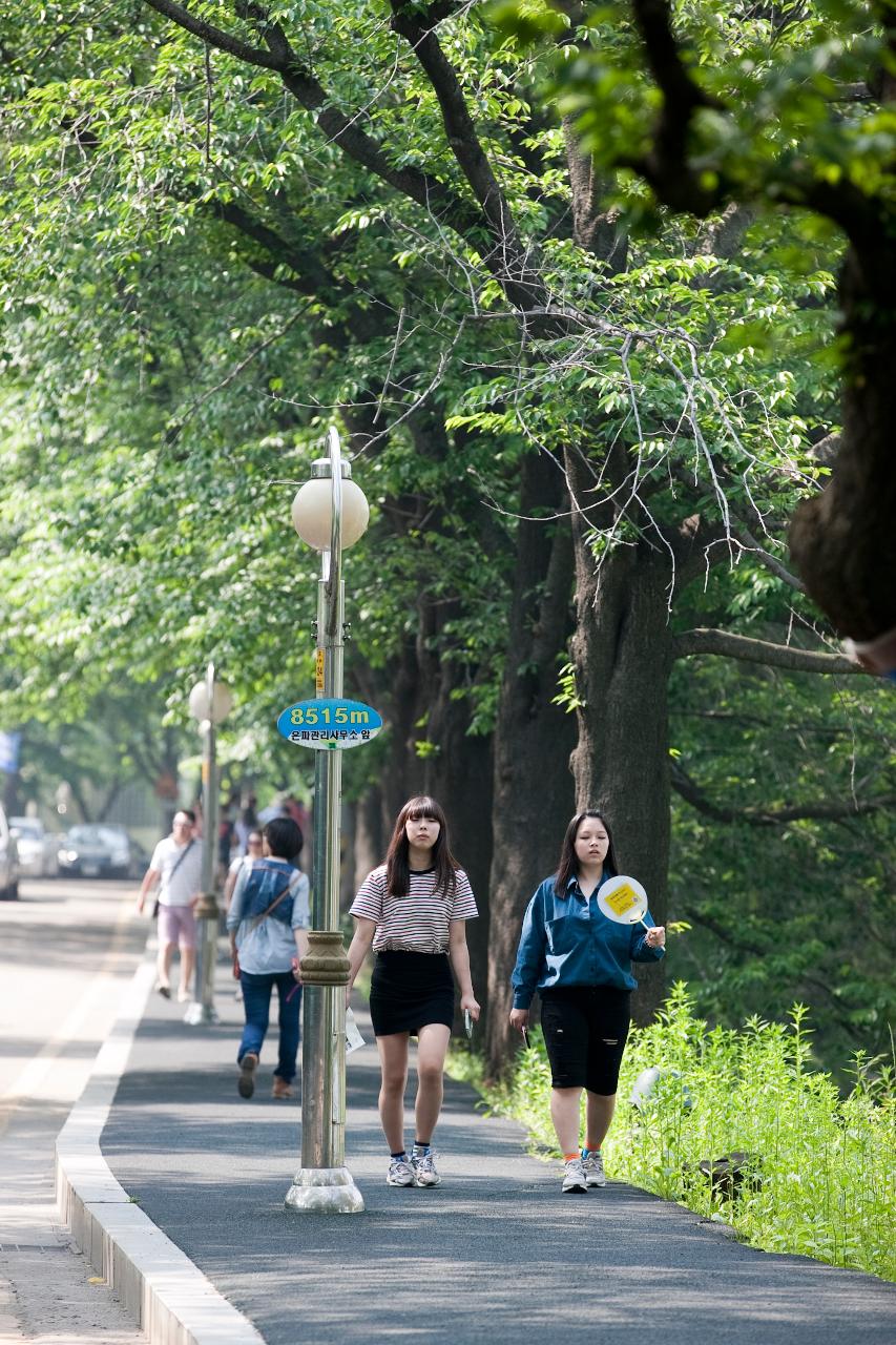 은파 세바윗길 땅밟기