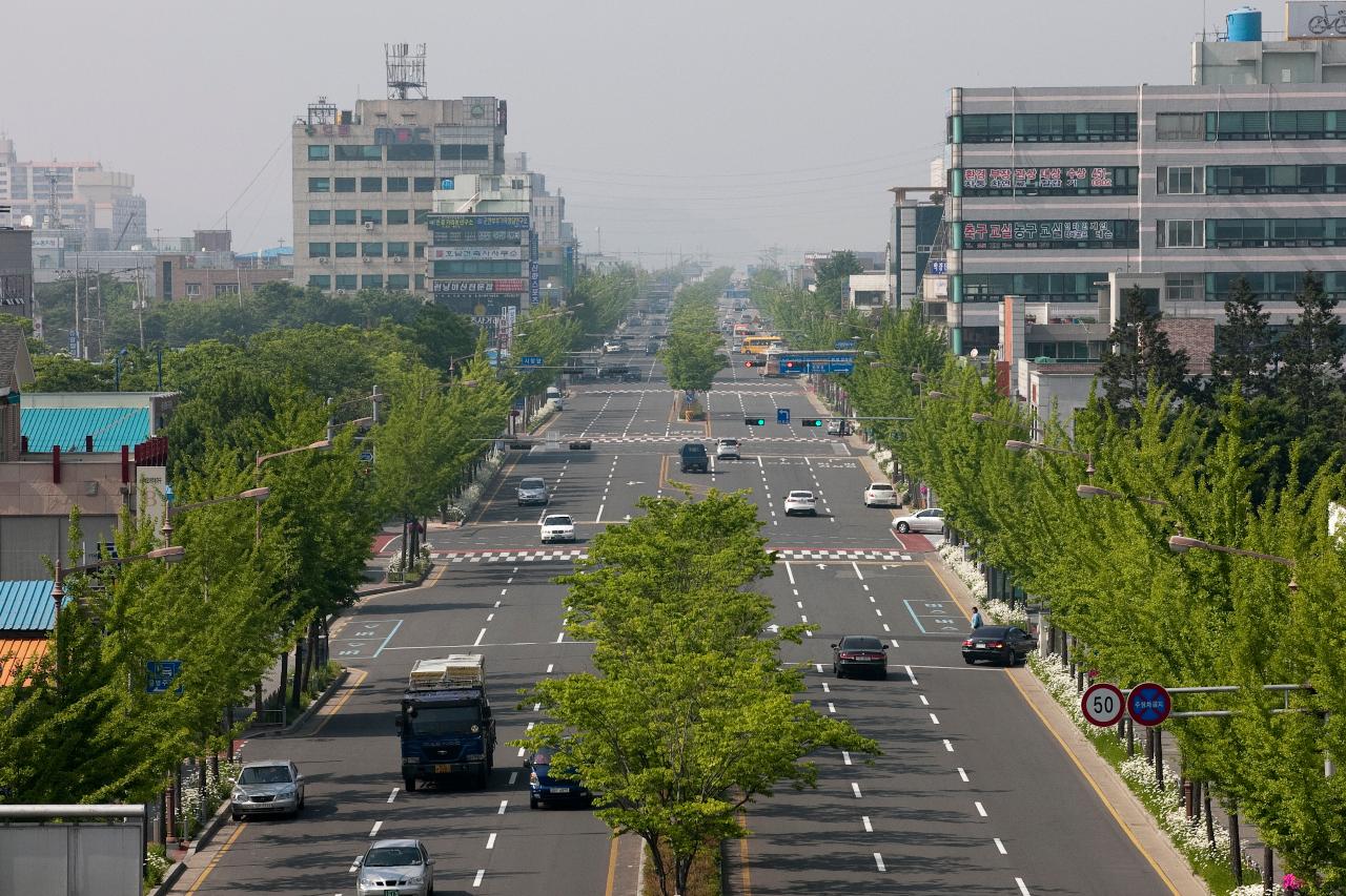 시가지 전경