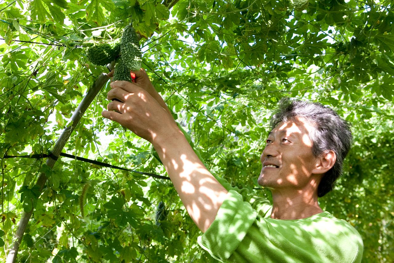 옥구읍 여주재배 농장