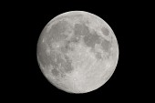 추석 보름달사진(00002)