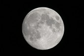 추석 보름달사진(00003)