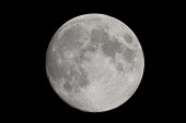추석 보름달사진(00004)