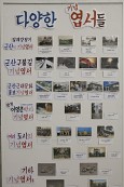 근대역사 홍보엽서캠페인 발대식사진(00019)