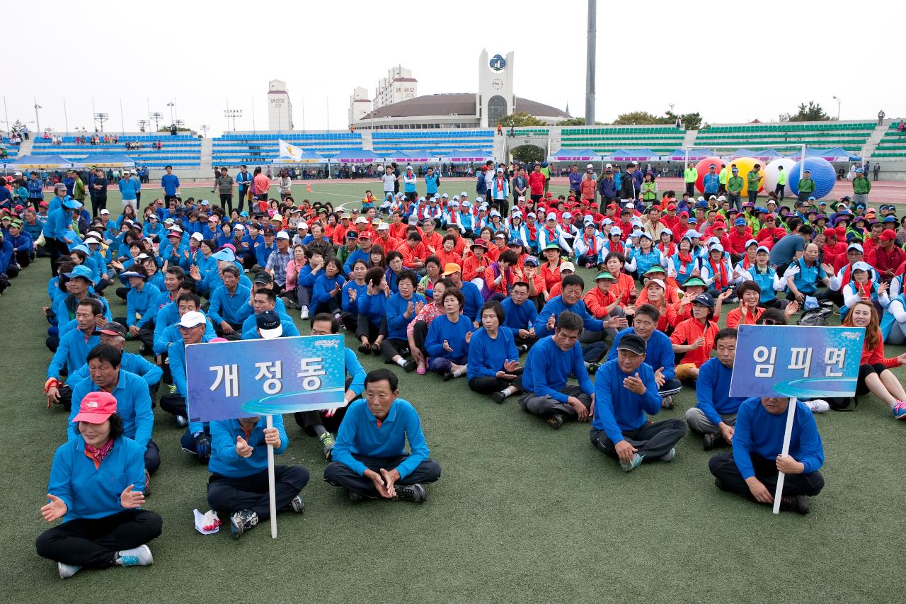 건강도시 선포식 및 읍면동 화합 한마당