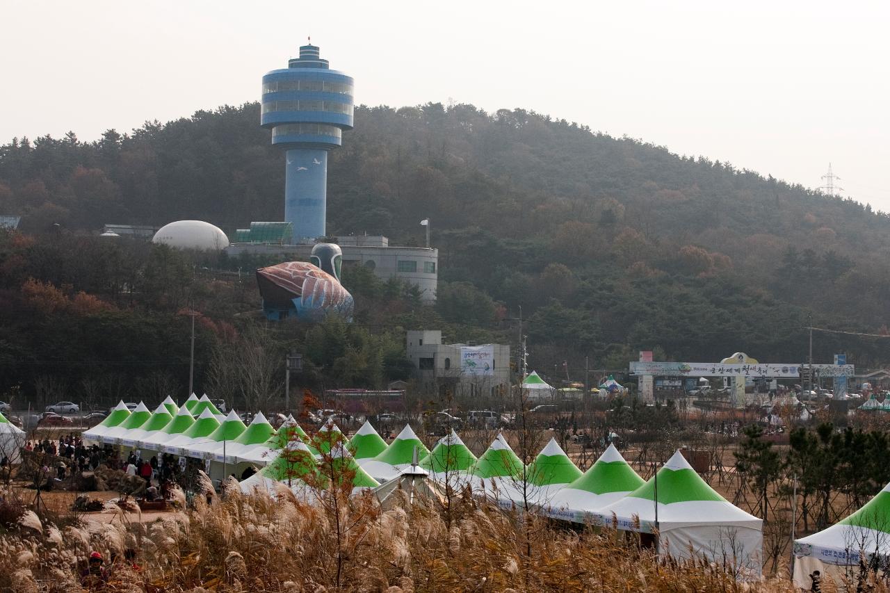 철새축제