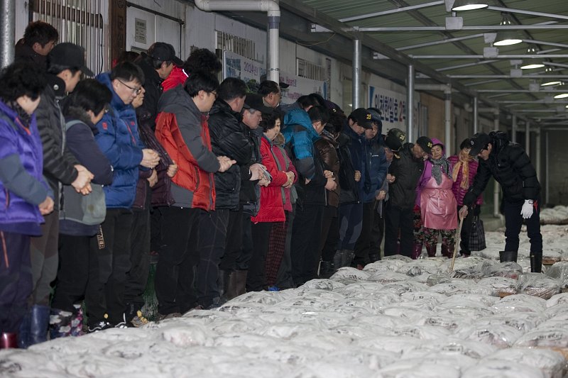 해망동 어판장 부시장 현장방문