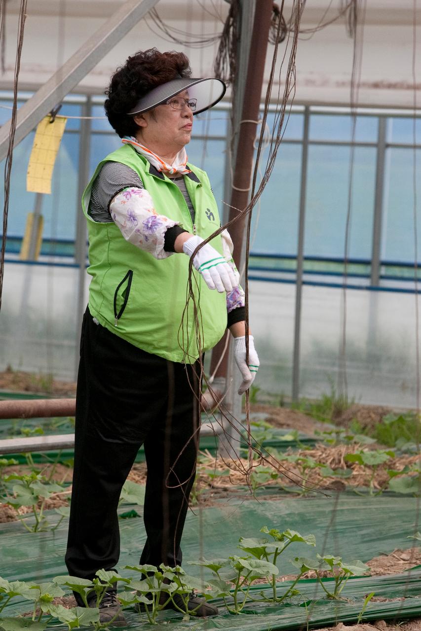 여성자원봉사회 농촌일손돕기