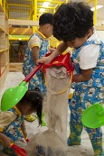 육아종합지원센터 놀이방 장난감가게사진(00036)