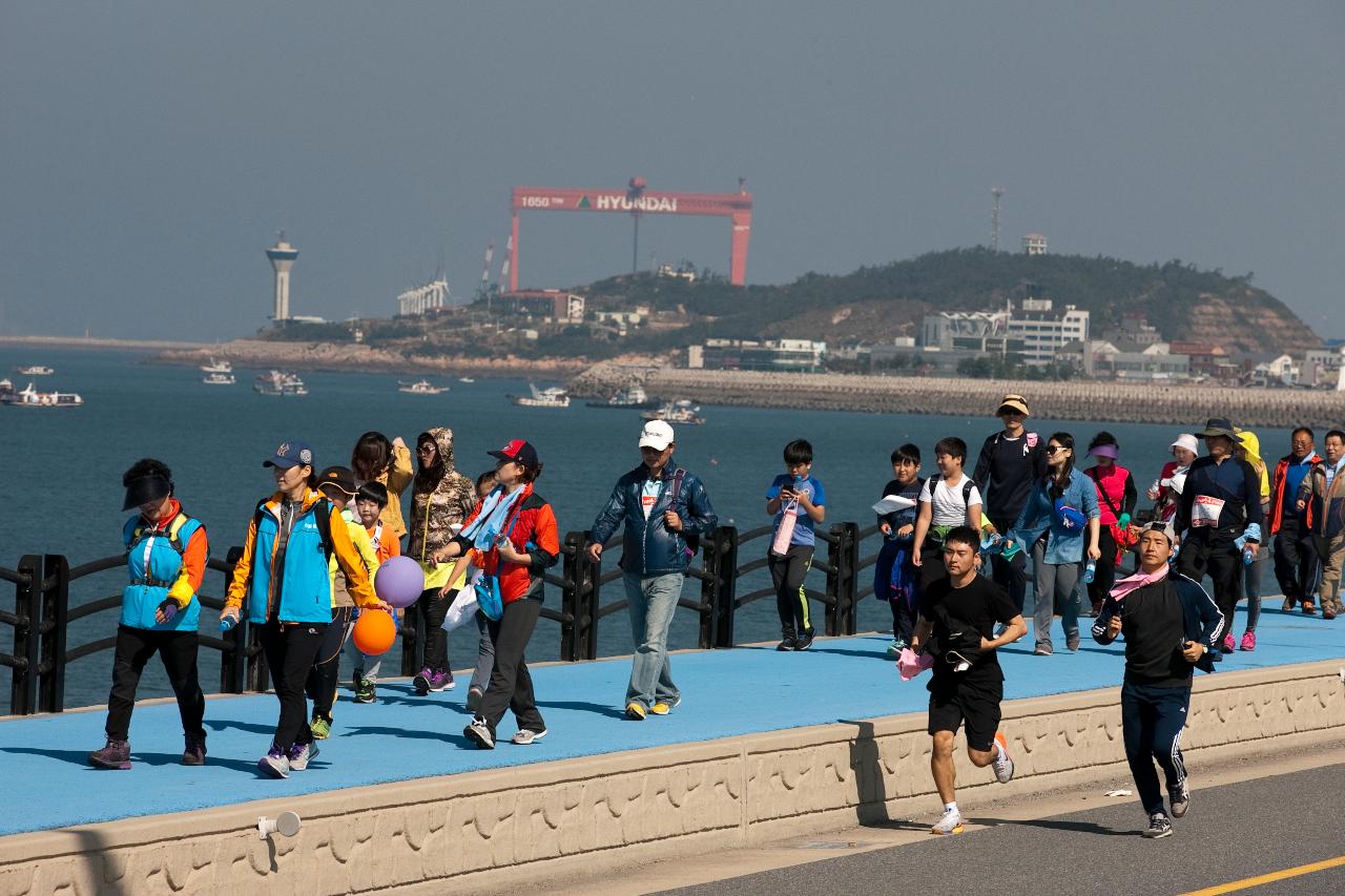 새만금 걷기대회