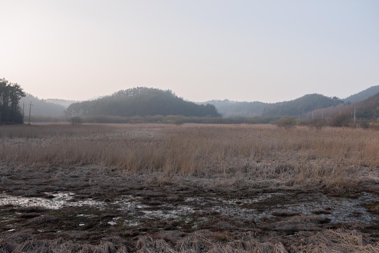 백석제 전북대병원부지