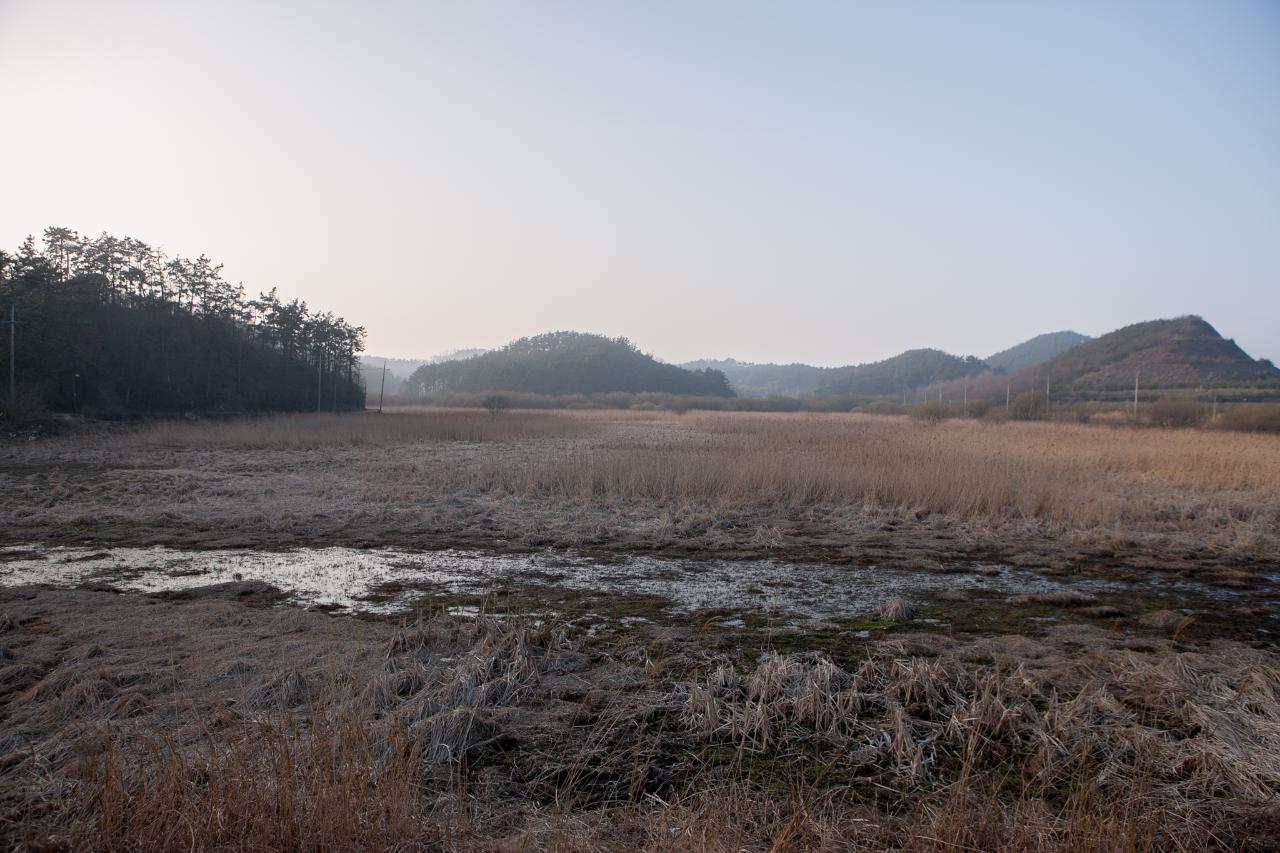 백석제 전북대병원부지