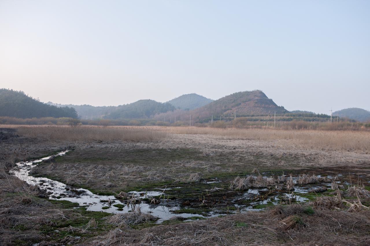 백석제 전북대병원부지