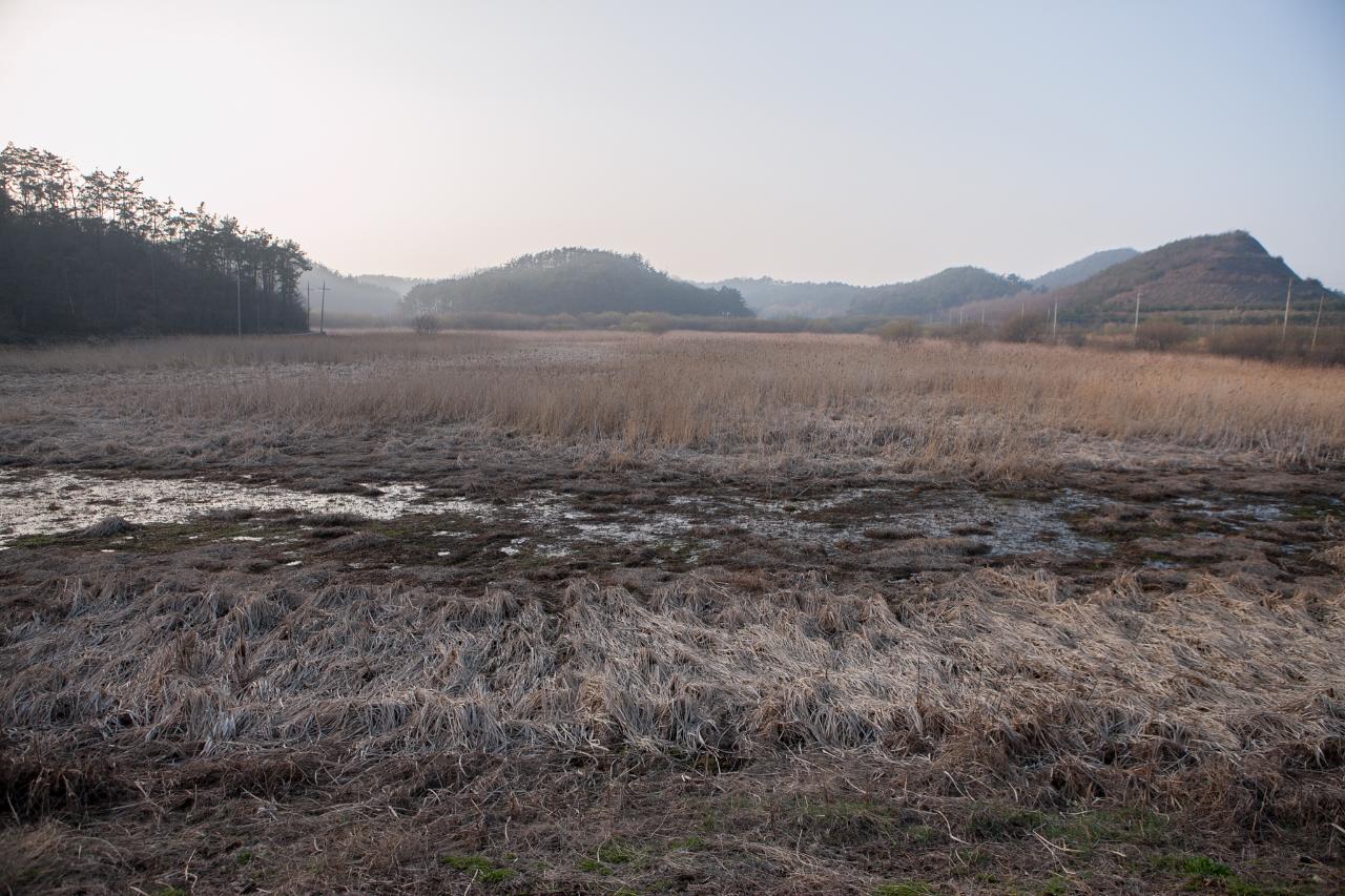 백석제 전북대병원부지