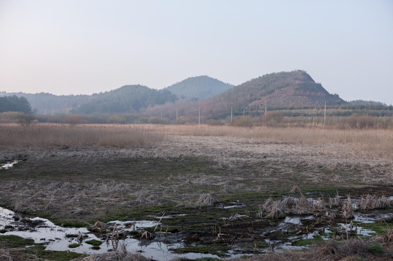 백석제 전북대병원부지