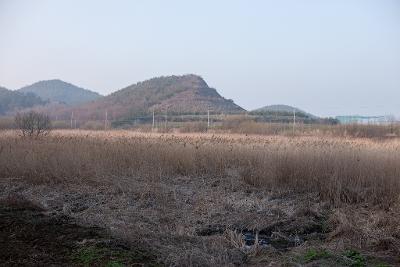 백석제 전북대병원부지