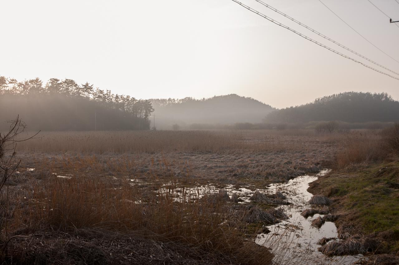 백석제 전북대병원부지