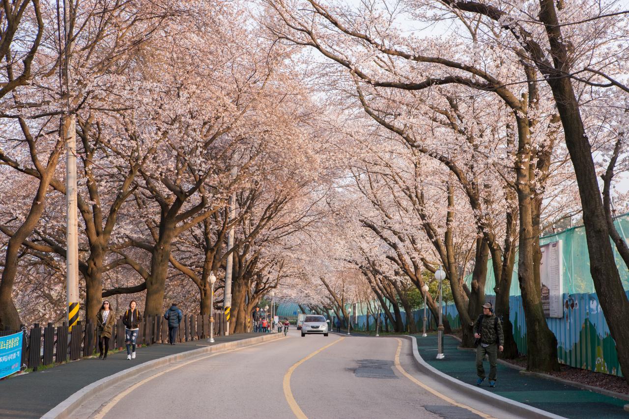 은파호수공원야간촬영