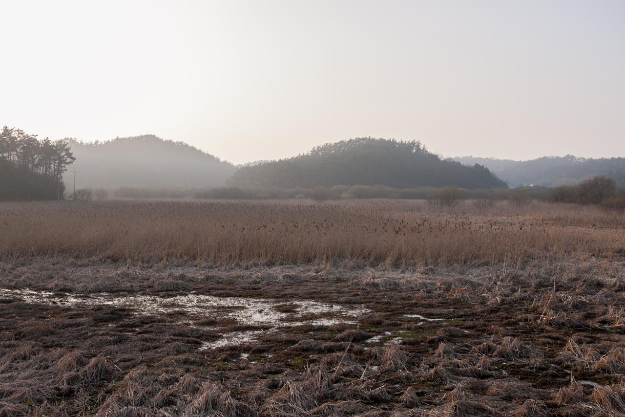 백석제 전북대병원부지