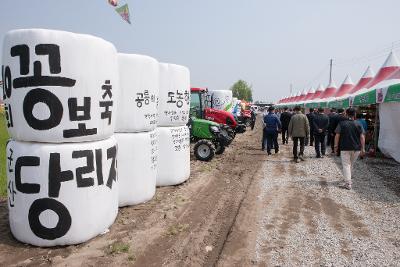 제10회 꽁당보리축제