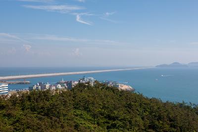 산업단지전경(물류지원센터)