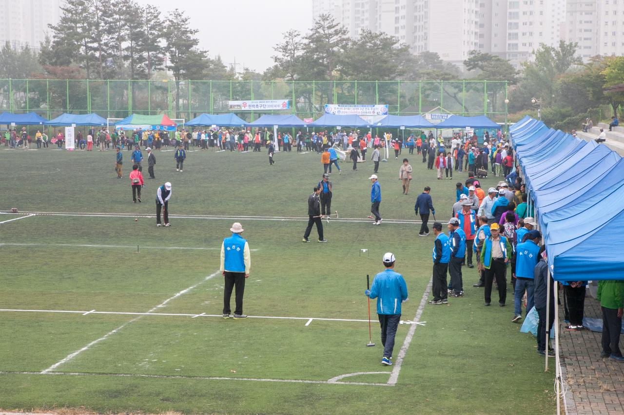 제19회 노인의 날 기념식