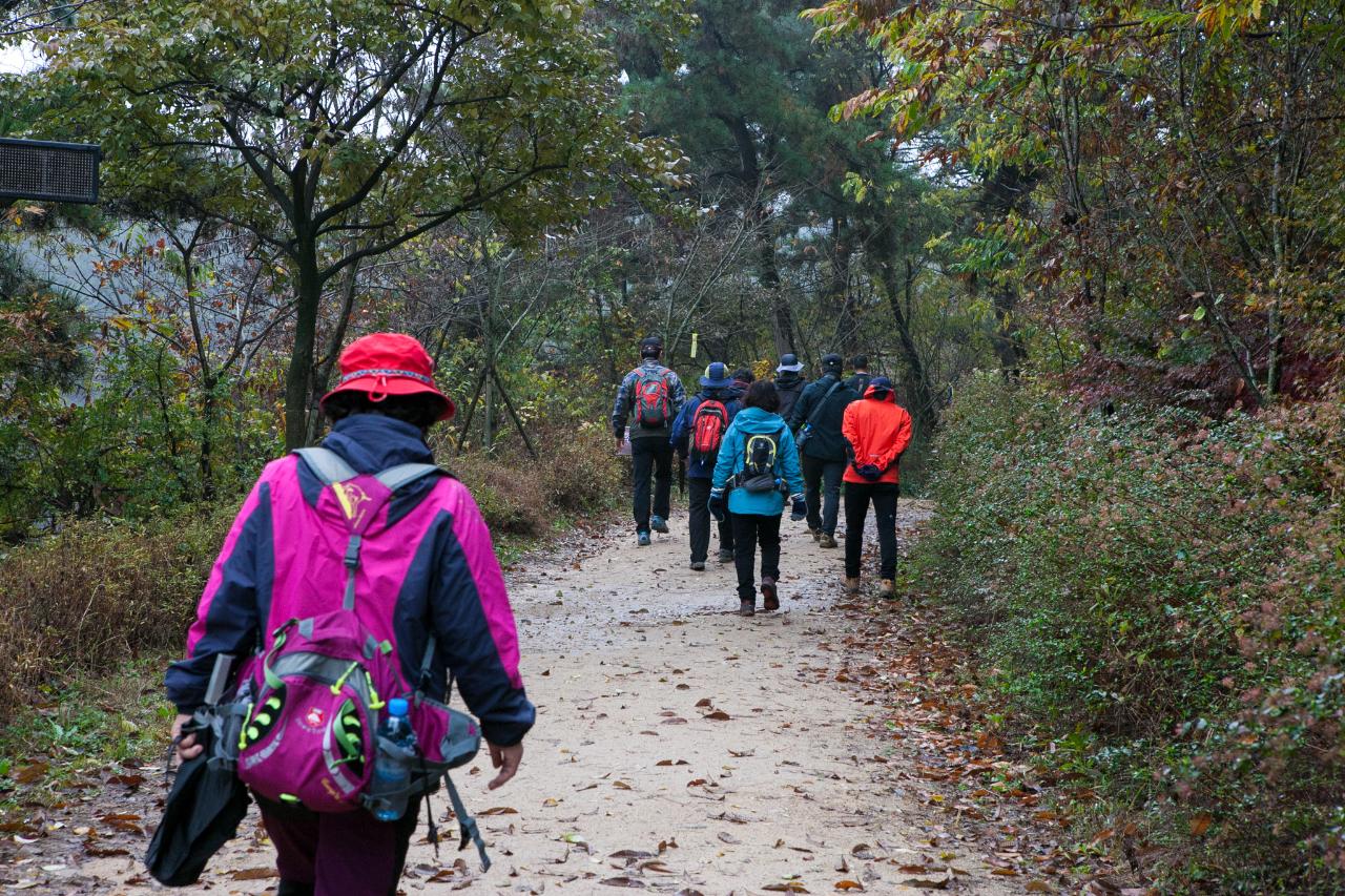 제7회 청암산 구슬뫼 전국등산축제