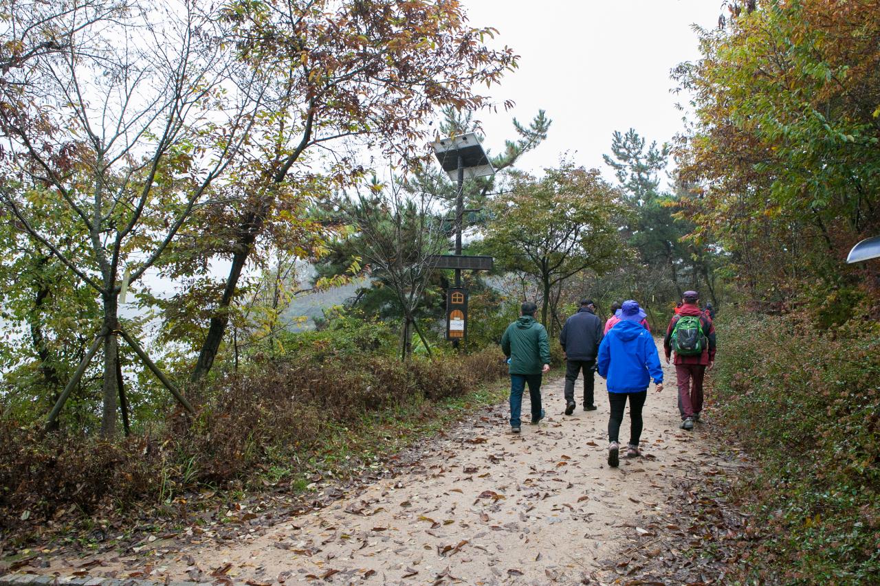 제7회 청암산 구슬뫼 전국등산축제