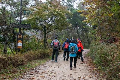 제7회 청암산 구슬뫼 전국등산축제