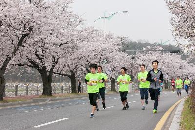 새만금 국제 마라톤대회