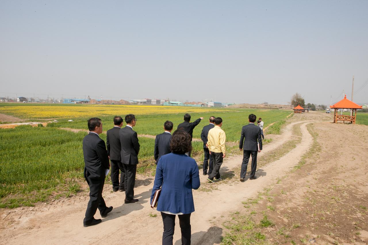 꽁당보리축제장 현장점검