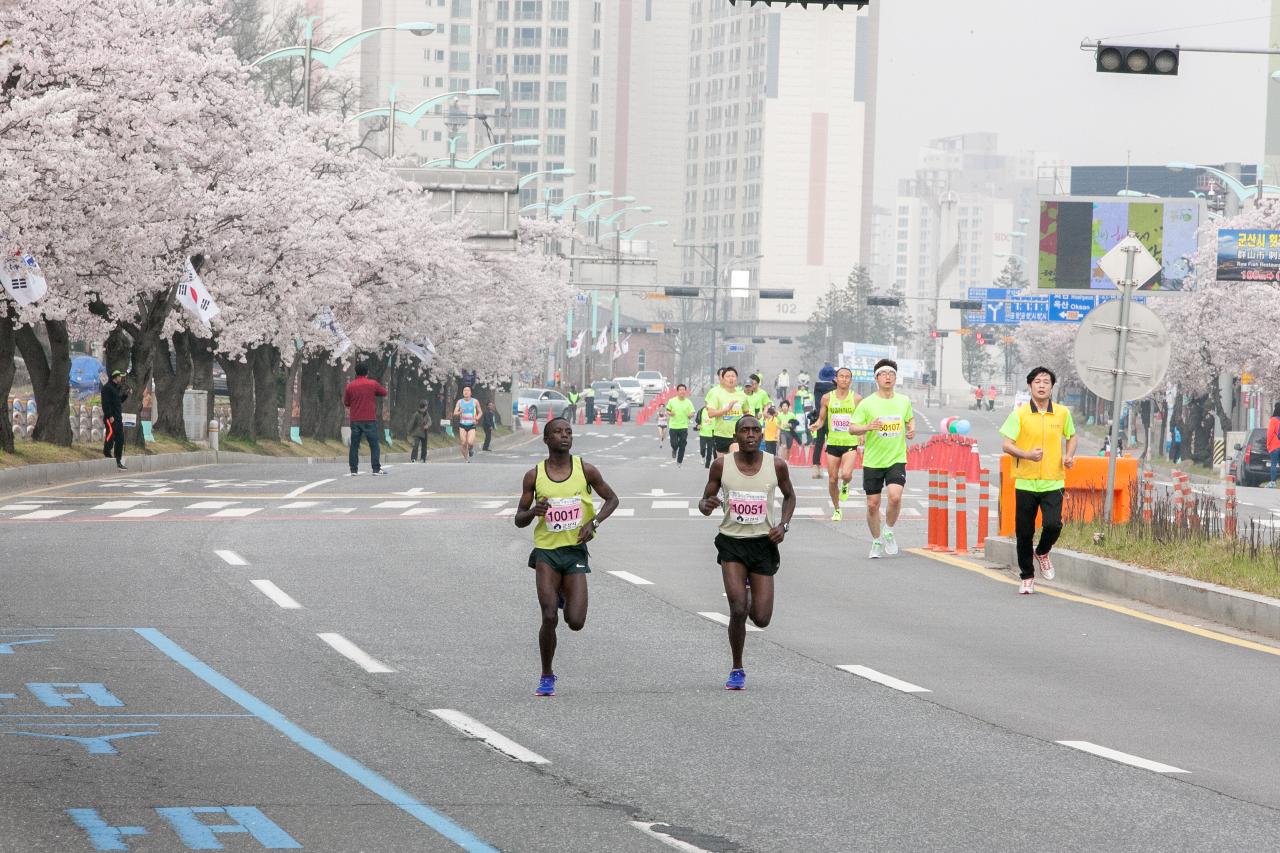 새만금 국제 마라톤대회