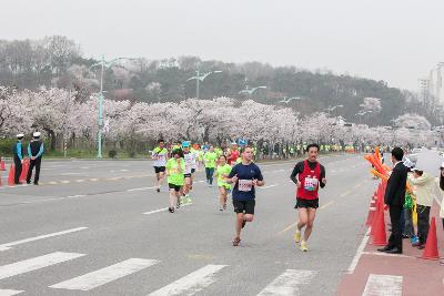 새만금 국제 마라톤대회