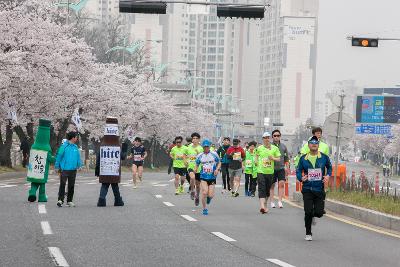 새만금 국제 마라톤대회