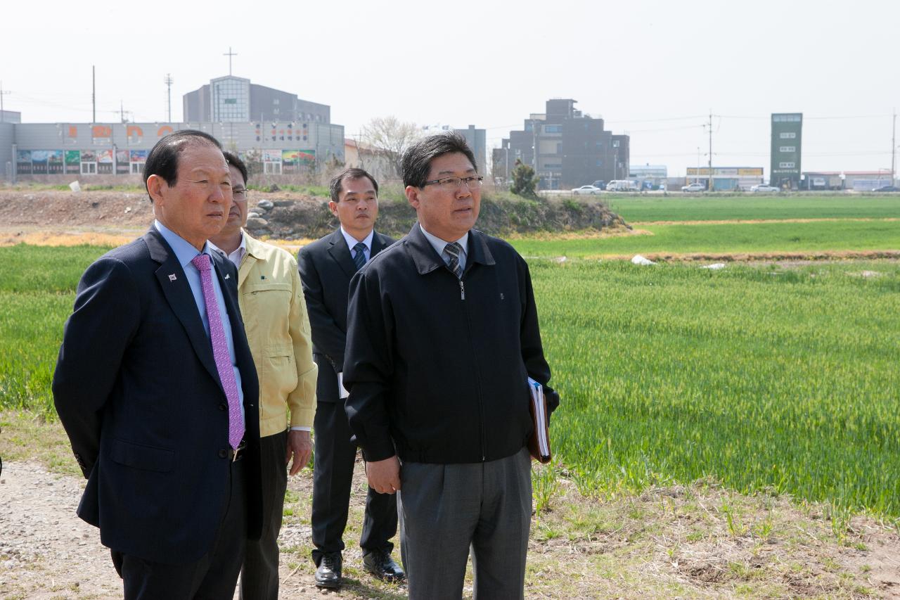 꽁당보리축제장 현장점검