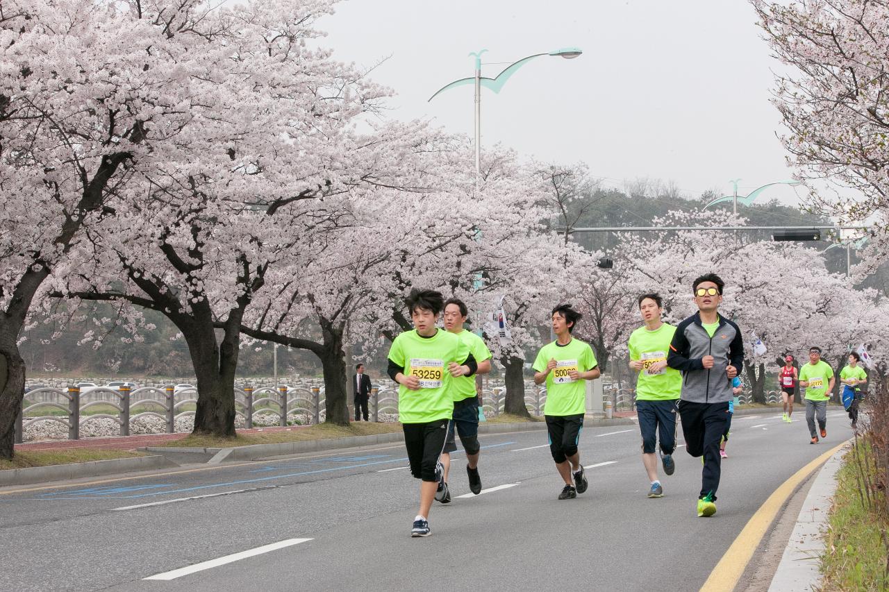 새만금 국제 마라톤대회