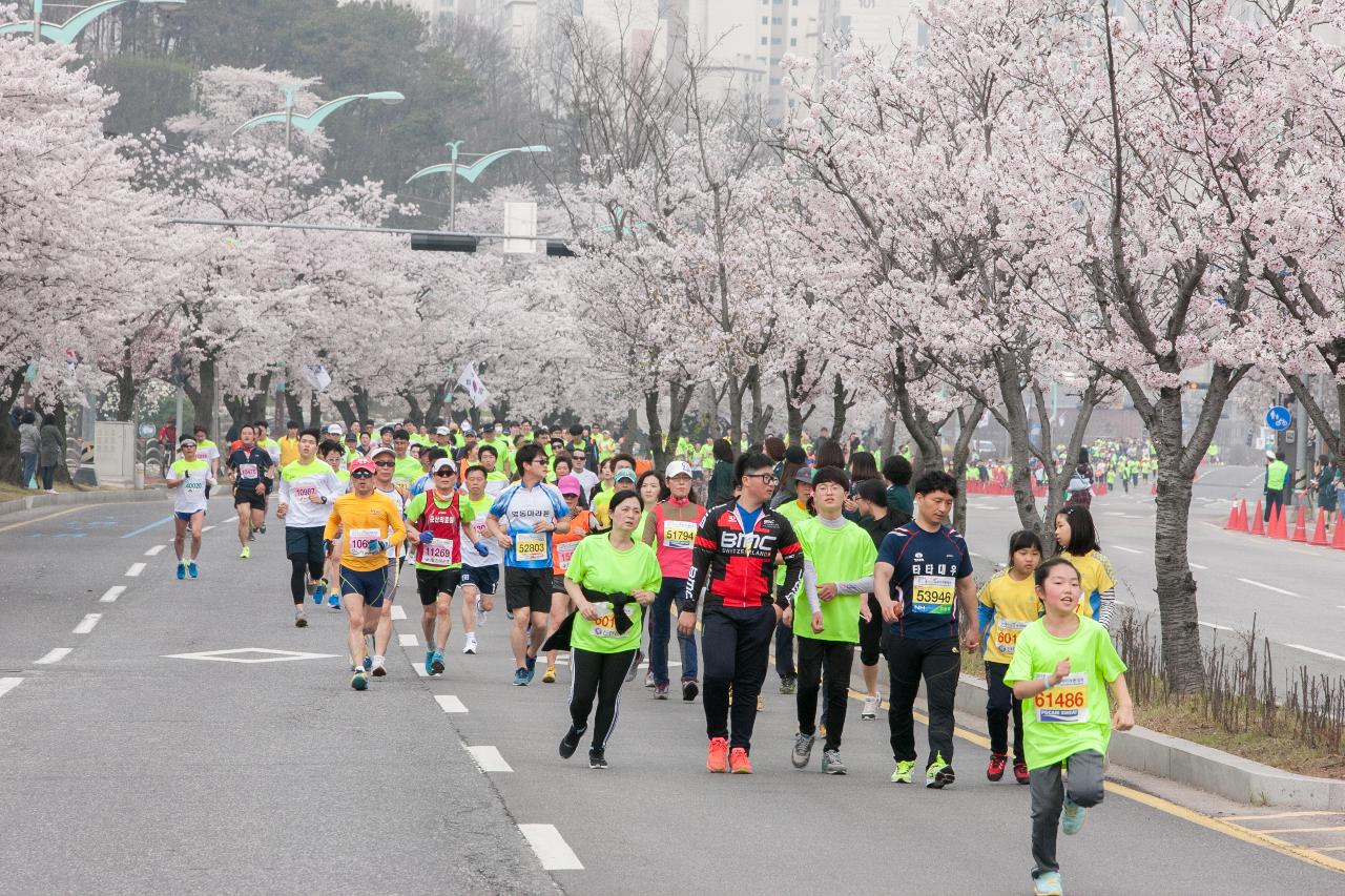 새만금 국제 마라톤대회