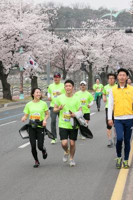 새만금 국제 마라톤대회