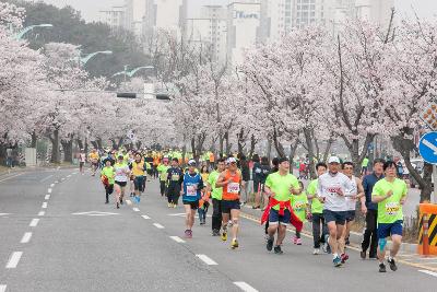 새만금 국제 마라톤대회