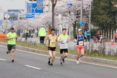 새만금 국제 마라톤대회