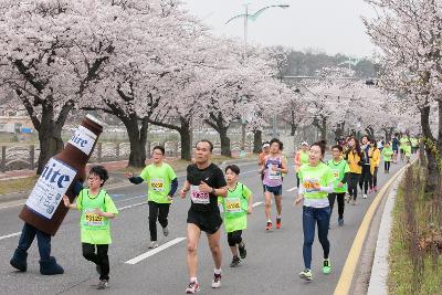 새만금 국제 마라톤대회