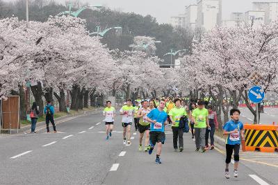 새만금 국제 마라톤대회